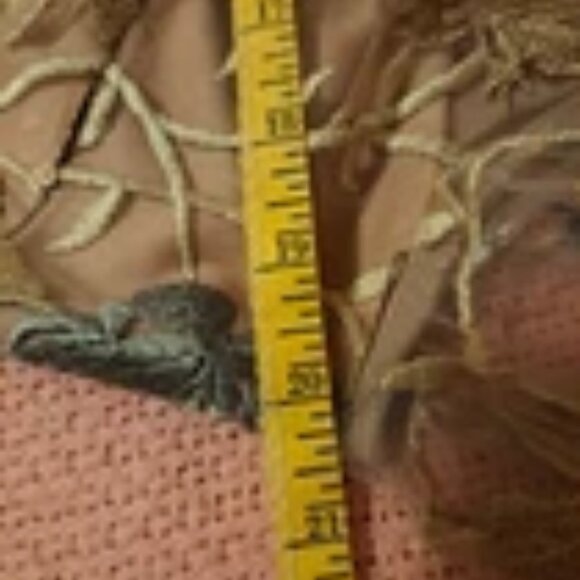 JS Collections Daphne Flutter Sleeve Column Sheath Blush Multi Color Gown Discou - Picture 11 of 14